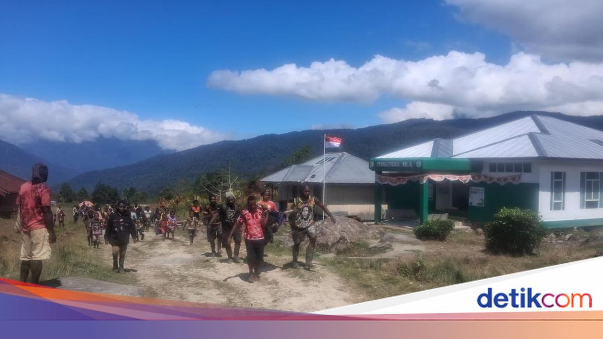 Ibu di Mimika Dibunuh KKB gegara Tolak Disandera, Anaknya Dibuang ke Jurang