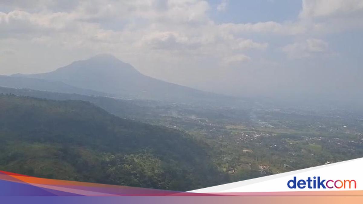 BPBD Jatim Ungkap Kondisi Terkini Karhutla Gunung Arjuno-Welirang