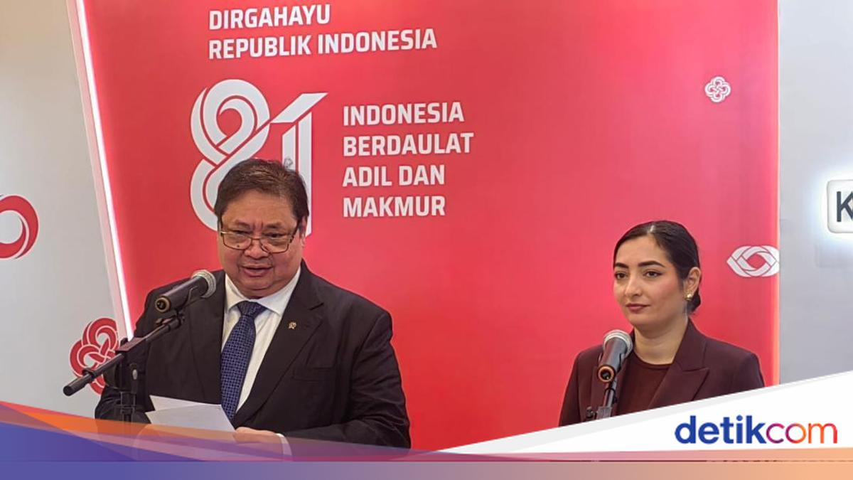 Airlangga Ungkap Potensi Investasi Jerman di RI, Ini Sektornya