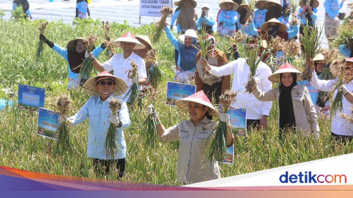 Zulhas Sebut Pemerintah Bakal Kurangi Ketergantungan Impor Bawang Putih