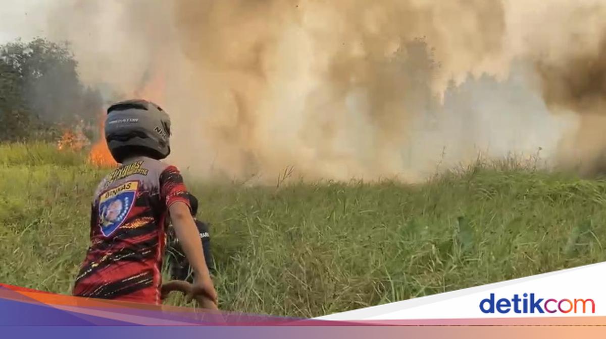 Waka Komisi IX DPR Usul Status KLB Jika ISPA Akibat Karhutla Memburuk