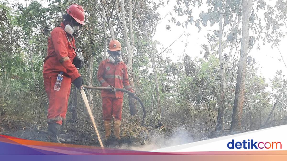 Tangani Karhutla Kalimantan, Pemerintah Modifikasi Cuaca-Tambah Pesawat