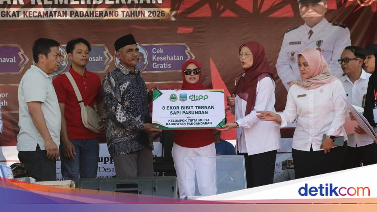 Pemprov Jabar Salurkan 24 Ekor Bibit Sapi Potong ke 3 Kabupaten