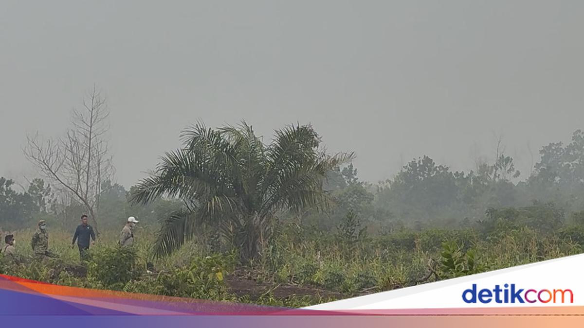 Langit Putih Gelap dan Aroma Bakaran Daun Menyengat di Sungai Raya Kalbar