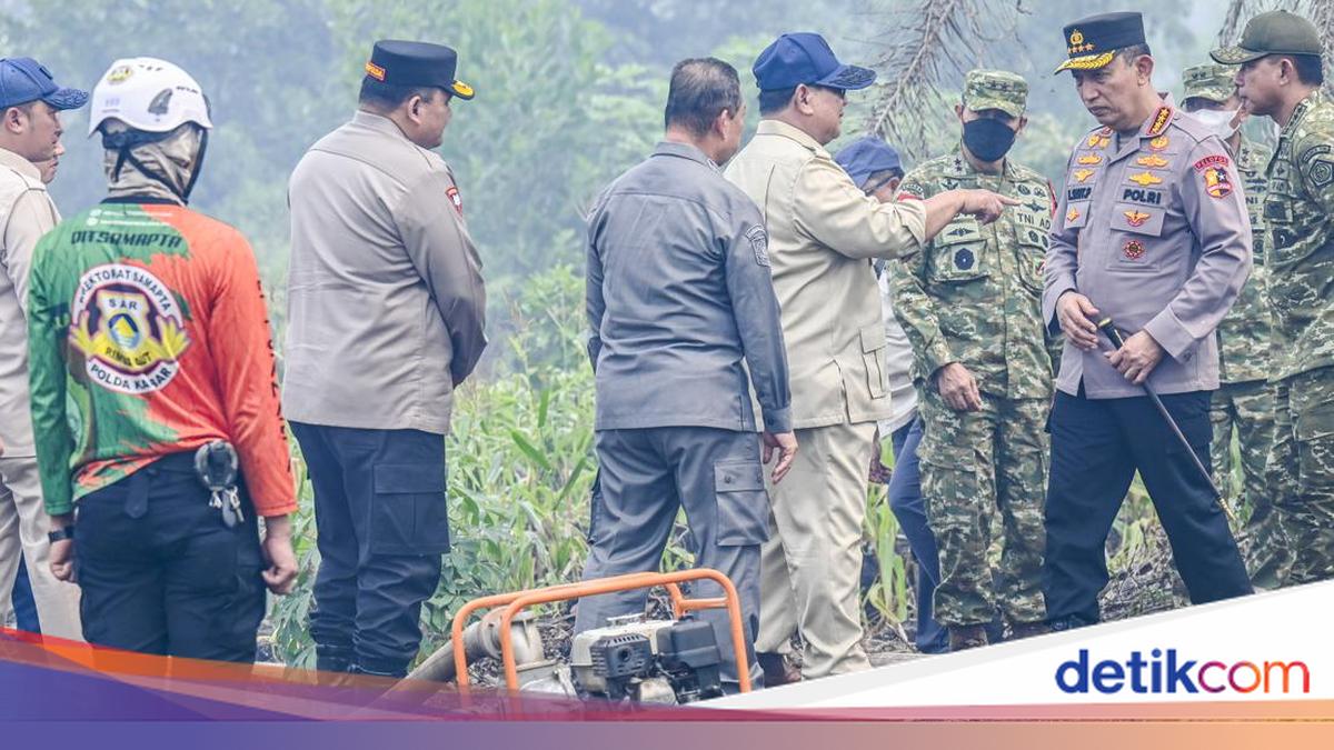 Safari Prabowo Cek Penanganan Karhutla di Sederet Provinsi