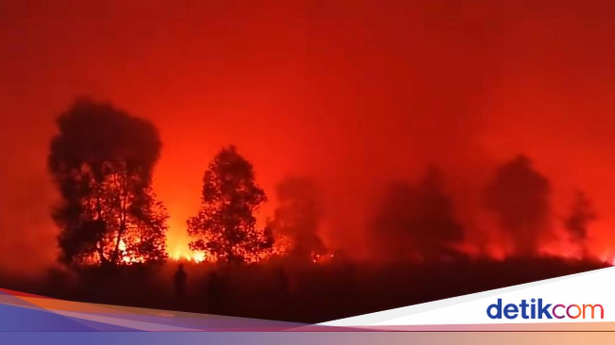 Taman Nasional Way Kambas Terbakar Sejak Jumat Siang