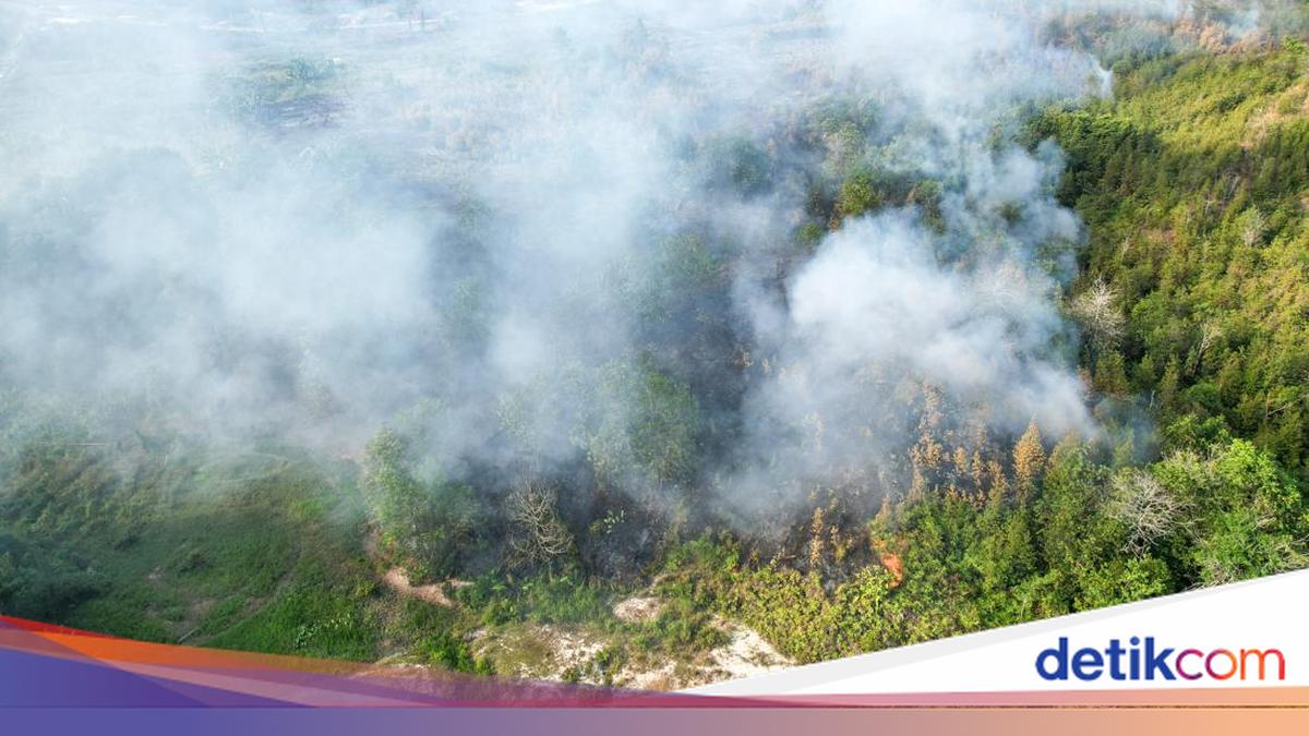 Sederet Langkah Pemerintah Tangani Karhutla, Terkini Instruksi Mendagri
