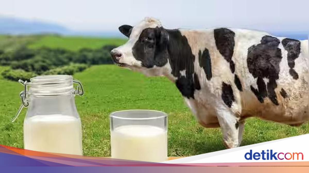 Kaya Nutrisi, Kenali 5 Khasiat Minum Susu Setiap Hari bagi Tubuh