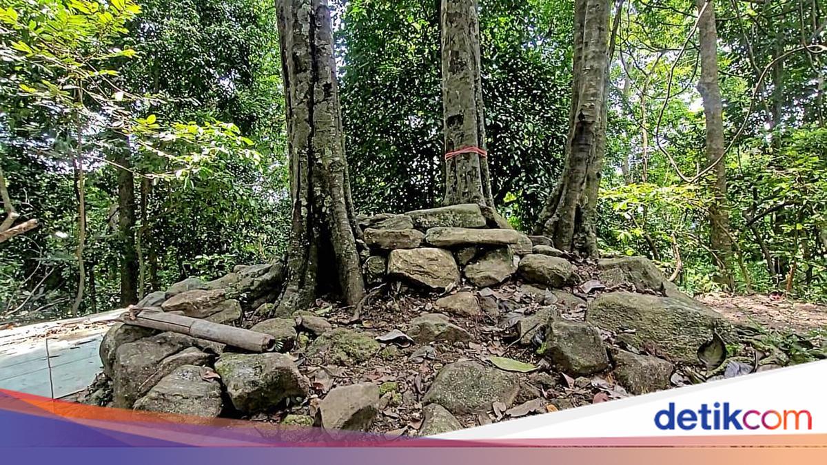 Duh! Temuan Celana Dalam-Kutang Wanita Berserakan Menodai Gunung Tangkil