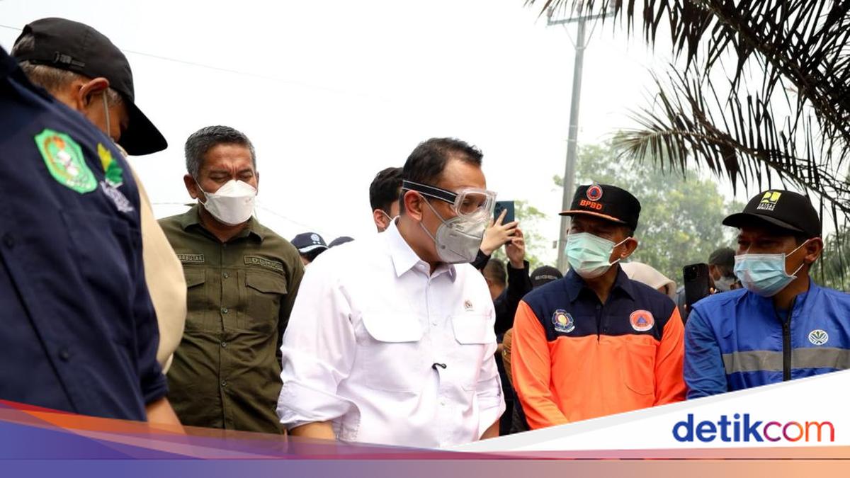 Wamen LH Minta Perusahaan Swasta Bangun Sekat Kanal Kubu Raya Cegah Karhutla