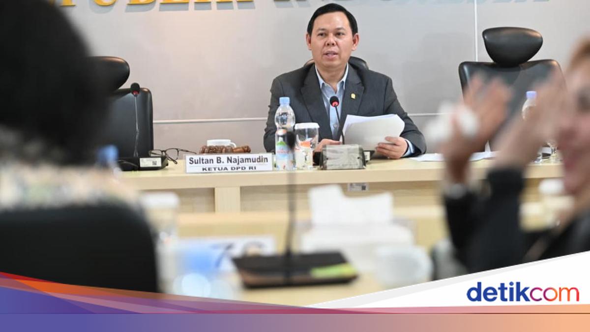Ketua DPD Minta Aparat Penegak Hukum Tindak Tegas Pelaku Penyebab Karhutla