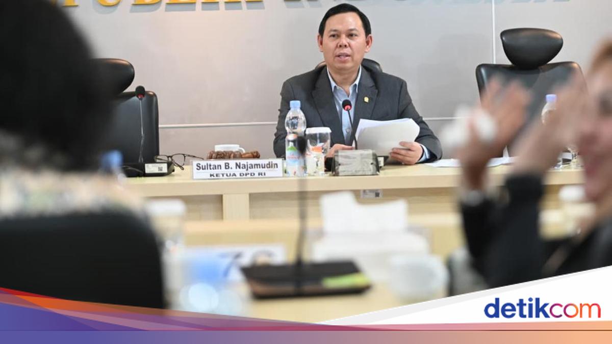 Ketua DPD Minta Aparat Penegak Hukum Tindak Tegas Pelaku Penyebab Karhutla