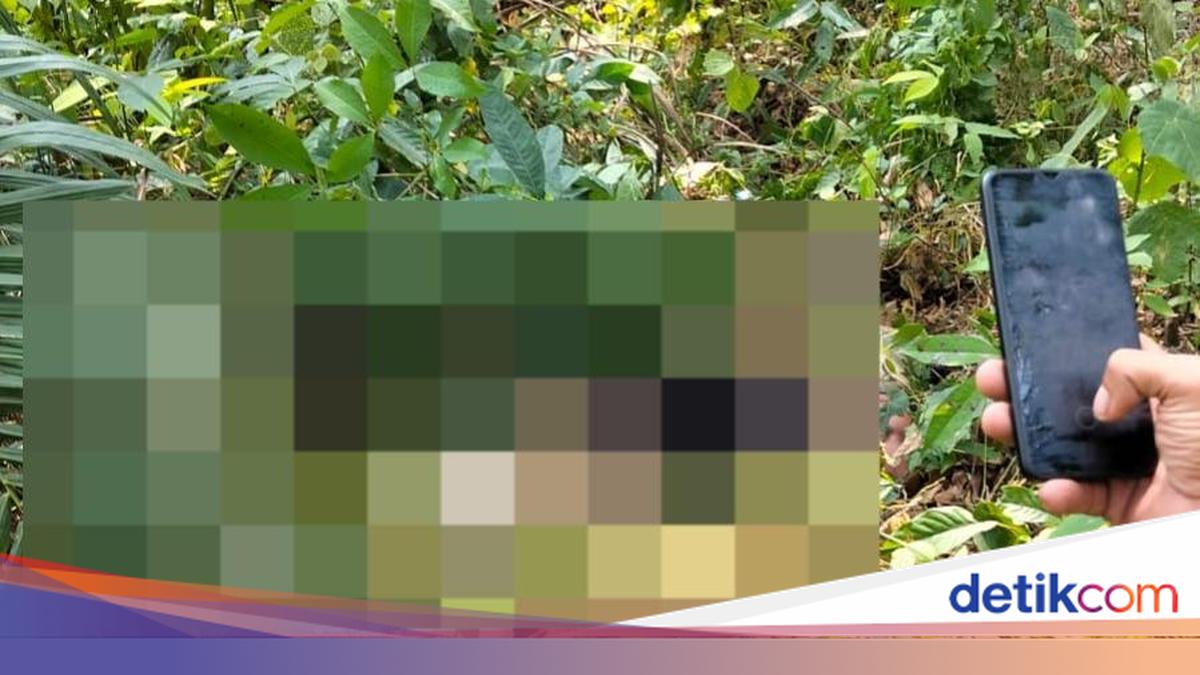 Pria Diduga Maling Sawit di Muba Tewas dengan Leher Putus, Pelaku Ditangkap