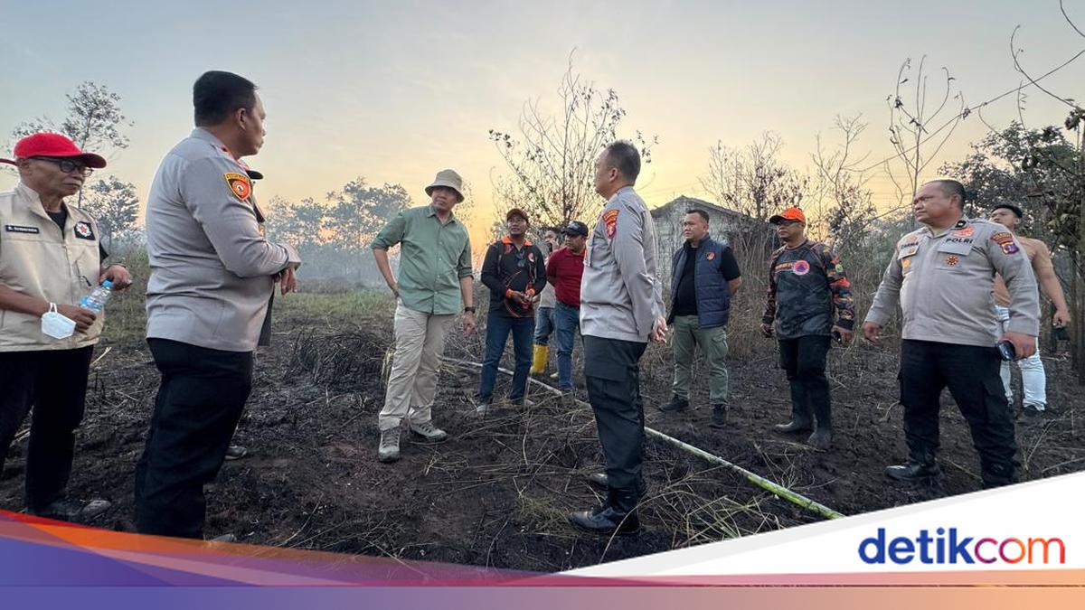 Karhutla Hanguskan 7 Hektare Lahan di Samarinda, Unsur Kesengajaan Ditelusuri