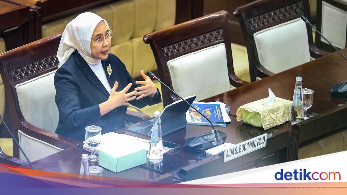 DPR Sepakat Aida Budiman Jadi Deputi Gubernur Senior BI