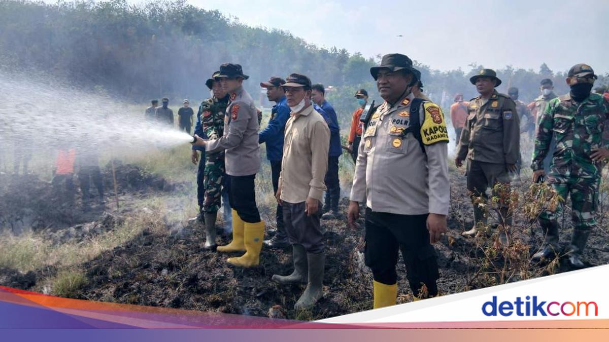 Aksi Kapolres OKU Timur Berjibaku Bareng Forkopimda Padamkan Api di Lahan Gambut