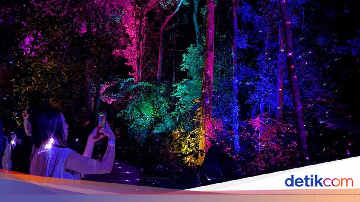 Foto-foto Estetik Wisata Malam di Hutan Langkawi