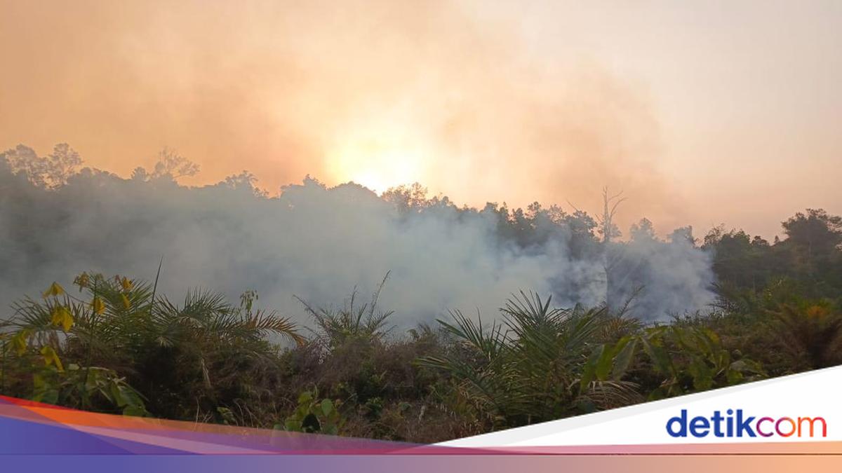 Photo: detik.com Manila air quality hits hazardous levels due to Indonesian wildfire haze