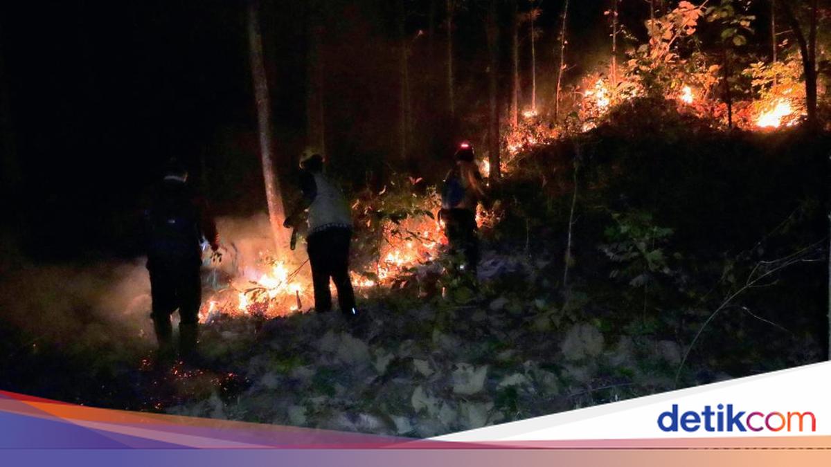 Karhutla di Ponorogo, Asap Mengarah ke Permukiman Warga