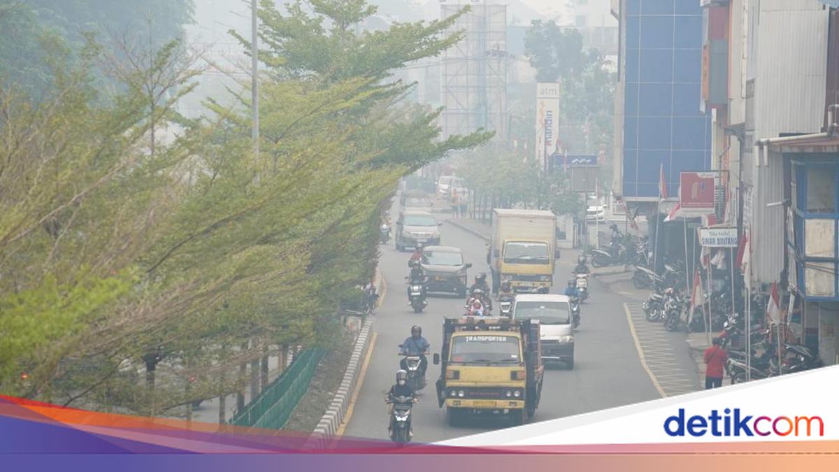 Kasus Pneumonia di Pontianak Meningkat Imbas Asap Karhutla