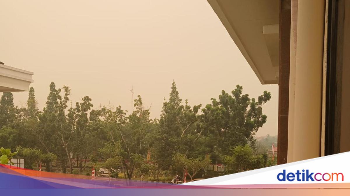 Asap Karhutla Bikin Langit Pontianak Kuning Kecokelatan, Ini Kata BMKG