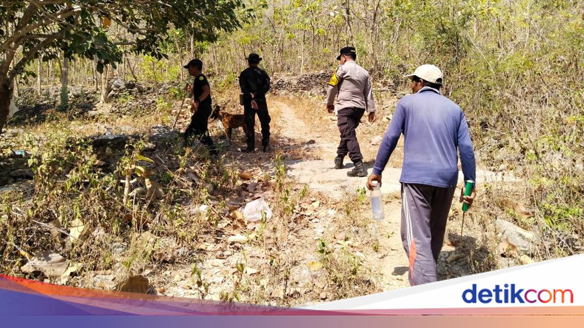 Operasi SAR Pencarian Lansia Hilang di Nusa Penida Dihentikan - berita news
