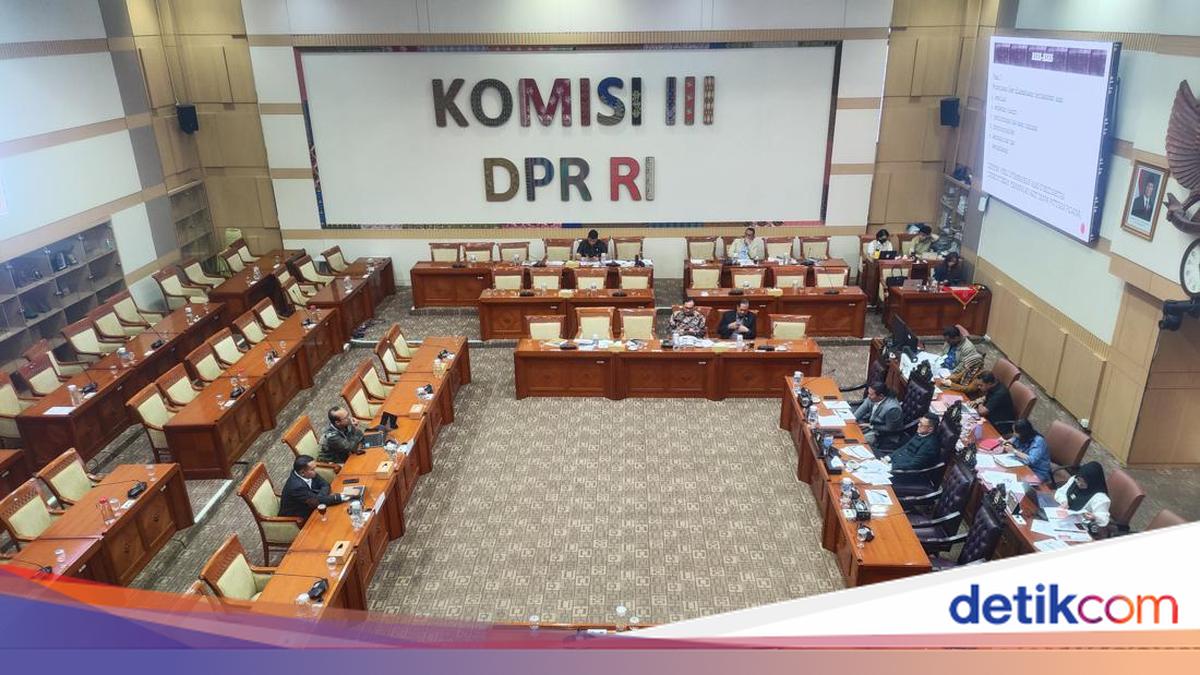 Pakar di Rapat RUU Perampasan Aset: Kalau Harimau-Gajah Jadi Aset Gimana?