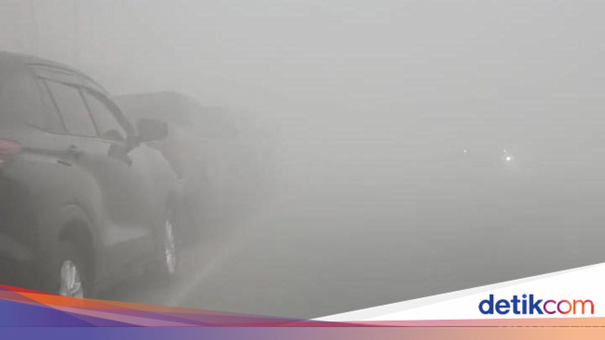Asap Pekat Selimuti Kotawaringin Barat, Warga: Seperti Hidup di Atas Awan