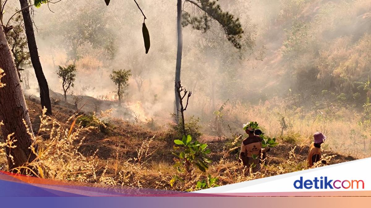 Karhutla Sebabkan Penyakit ISPA, Ini Gejala & Tips Perlindungan Diri dari Pakar UGM
