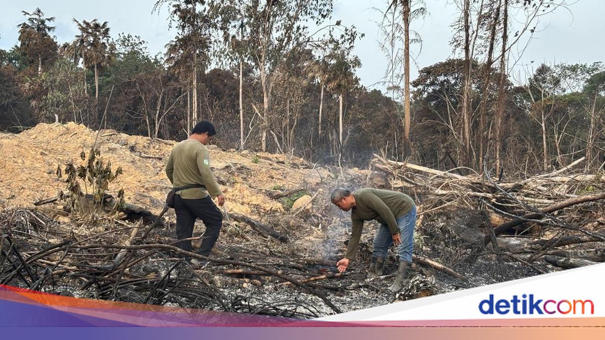 Karhutla Dekat IKN, Ada Dugaan Sengaja Dibakar