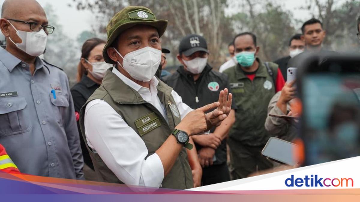 Menhut Bekukan Izin 5 Perusahaan Terkait Karhutla di Kalbar