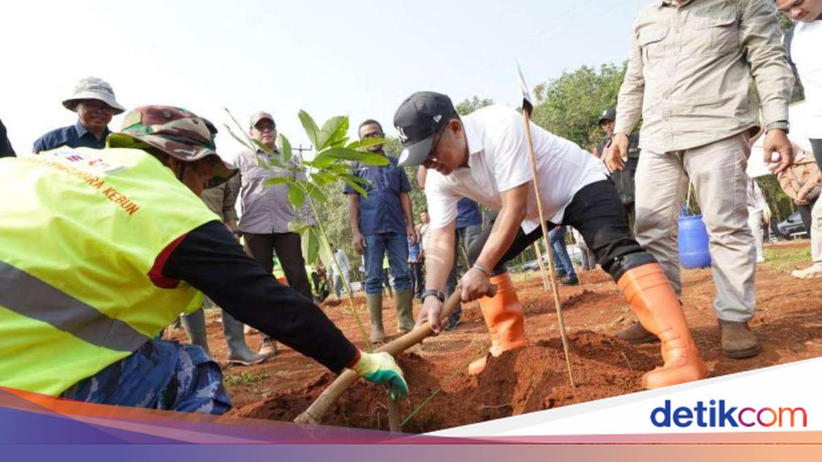 Pemprov Jabar Revitalisasi Kebun Karet Jalupang, 4.200 Pohon Telah Ditanam