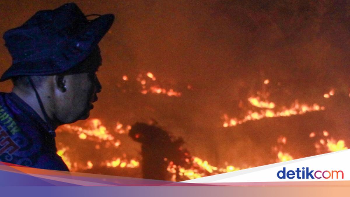 112 Tersangka Terkait Karhutla Ditangkap, Paling Banyak di Riau