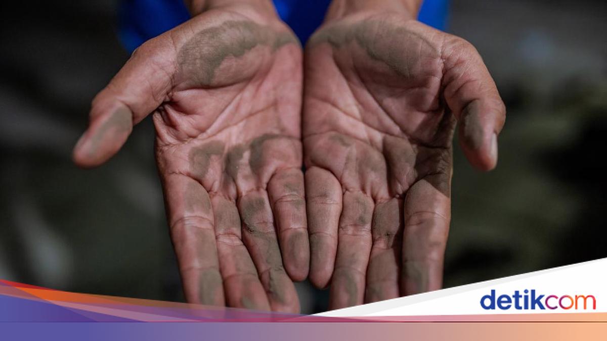 Abu Vulkanik Bisa Picu Stres Oksidatif, Ini Makanan yang Bantu Jaga Tubuh
