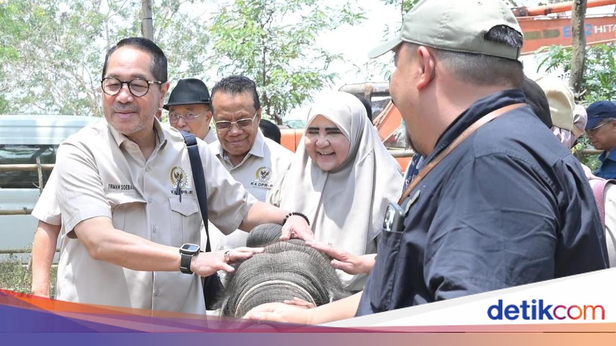 Cegah Karhutla Way Kambas, Firman Soebagyo Dorong Penguatan Deteksi Dini