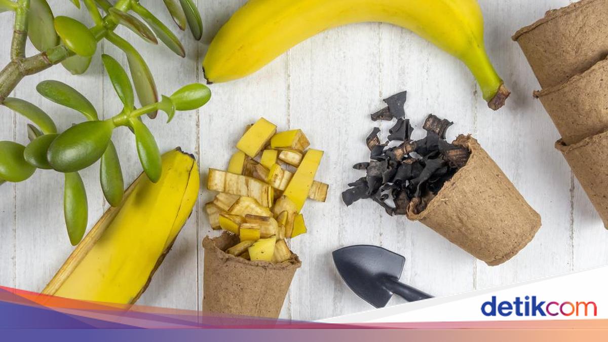 3 Cara Cerdas Manfaatkan Kulit Pisang, Jangan Buru-buru Dibuang!