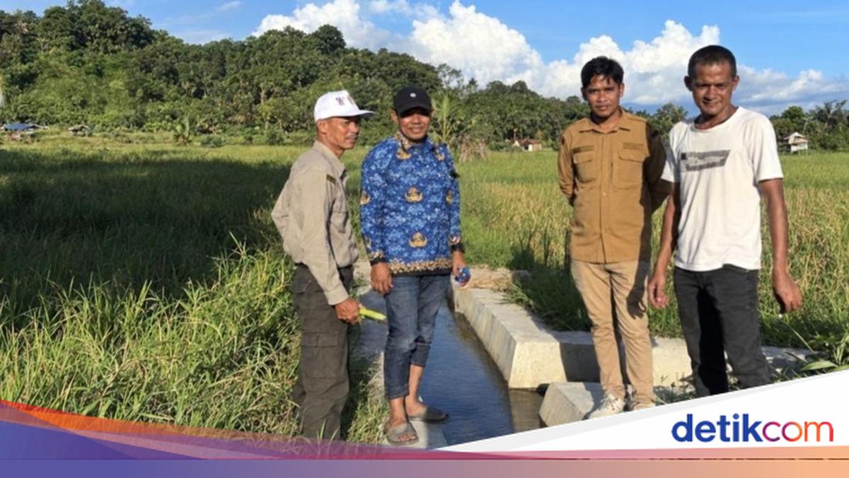 Sambut Musim Hujan, Pemulihan Sawah di Kota Subulussalam Dipercepat
