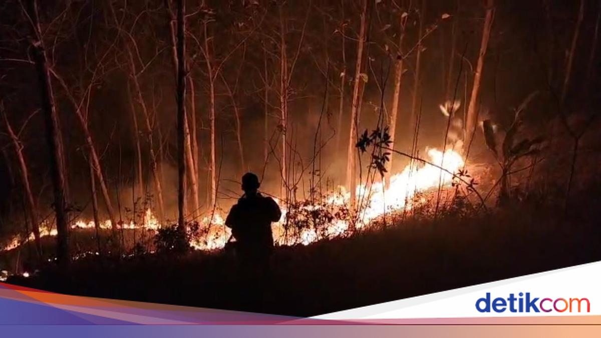 Polri Tetapkan 162 Orang Jadi Tersangka Karhutla, 95 Korporasi Diusut