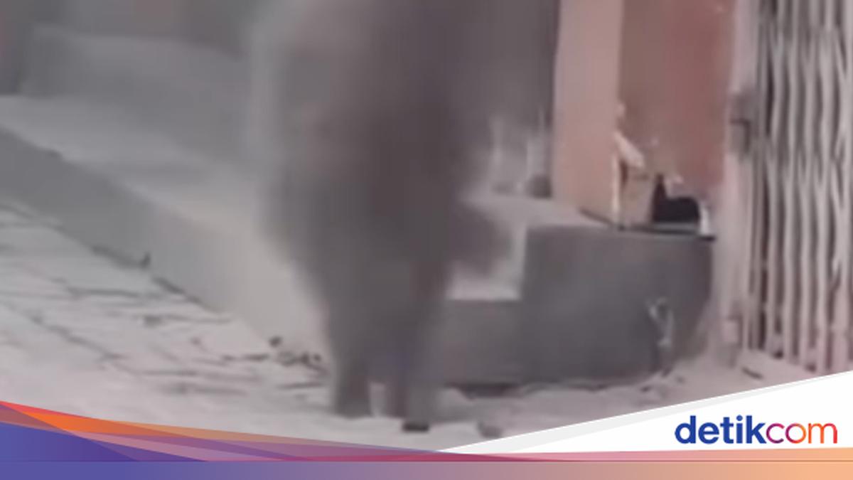 Viral Asap Hitam Menyembur dari Dalam Tanah di Jakpus, Ini Penyebabnya