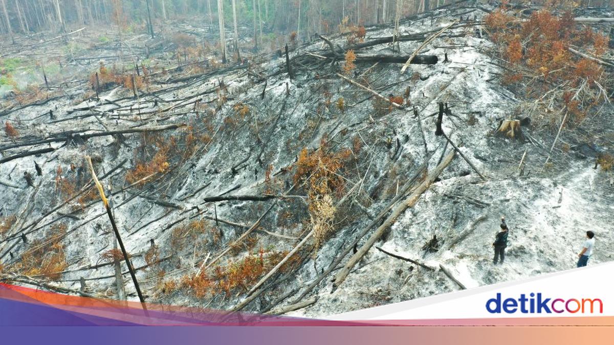 Polda Kaltara Panggil Perusahaan di Lokasi Terdampak Karhutla di Bulungan