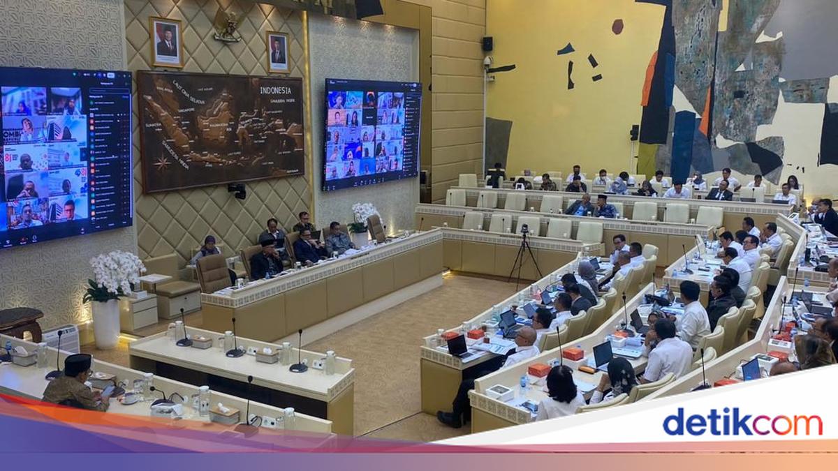 Disebut Terdampak Erupsi Anak Krakatau, Ketua Ombudsman Tak Hadir Rapat DPR
