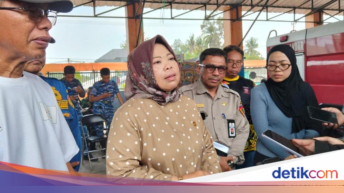 Karhutla Dekati Habitat Orang Utan di Kobar, Butuh Pemadaman Water Bombing
