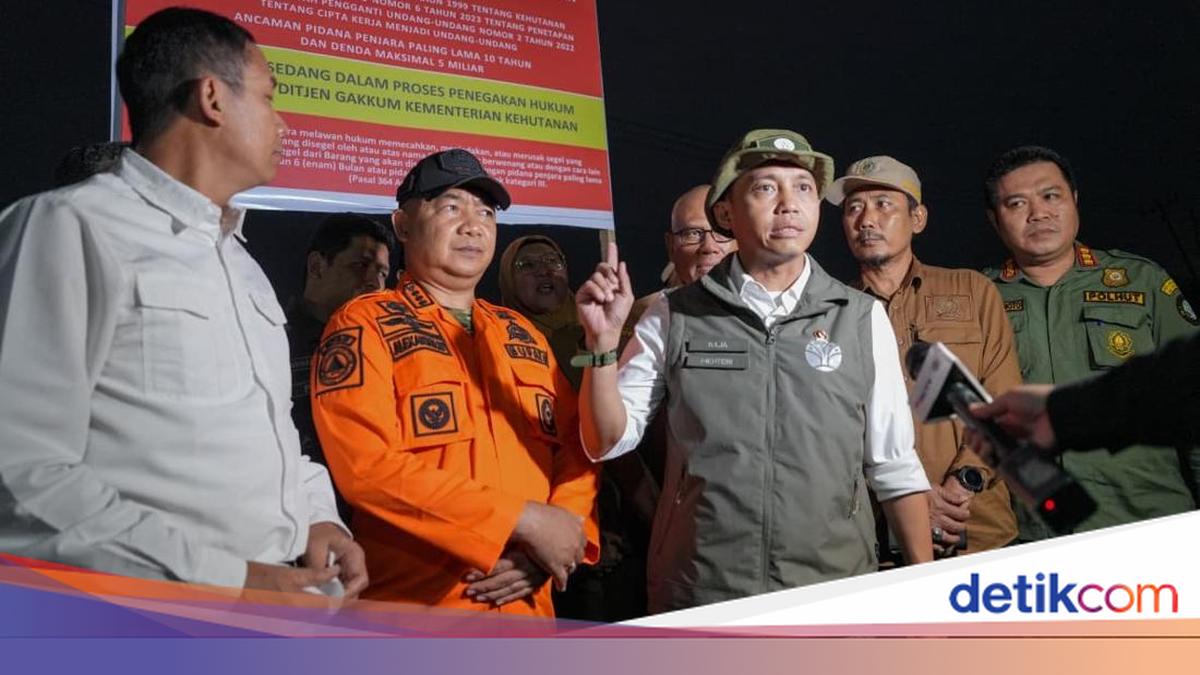 Baru Padam Ditanami Sawit, Menhut Segel Lokasi Karhutla di Ketapang