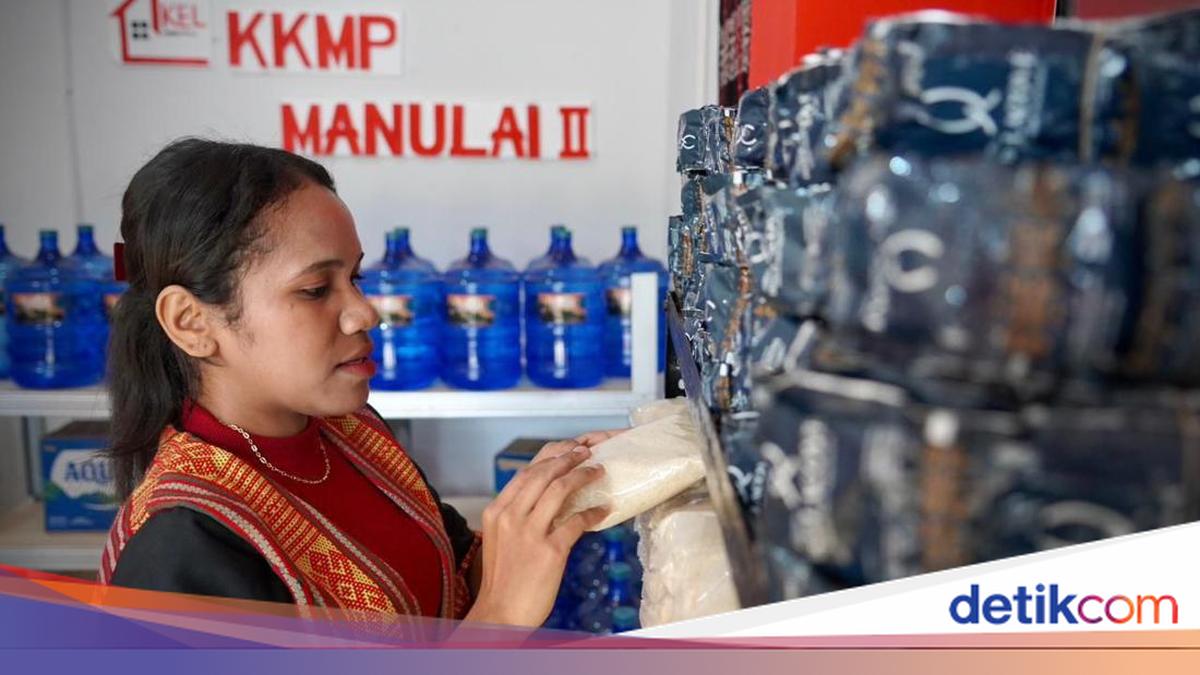 LPDB Dorong Koperasi Simpan Pinjam TLM Kembangkan KDKMP di Indonesia Timur