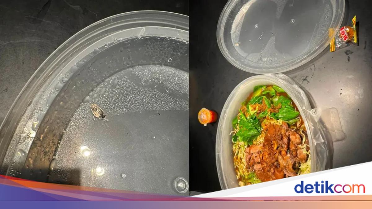 Api Atiqa Kecewa! Pesanan Makan Rp277 Ribu Malah Berisi Tahi Burung