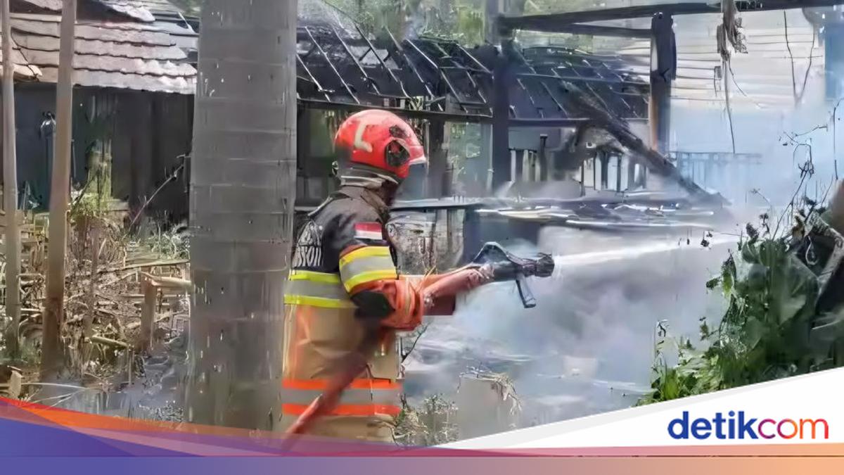 Lahan Ilalang di Bogor Terbakar Gegara Warga Bakar Rumput Usai Bersih-bersih