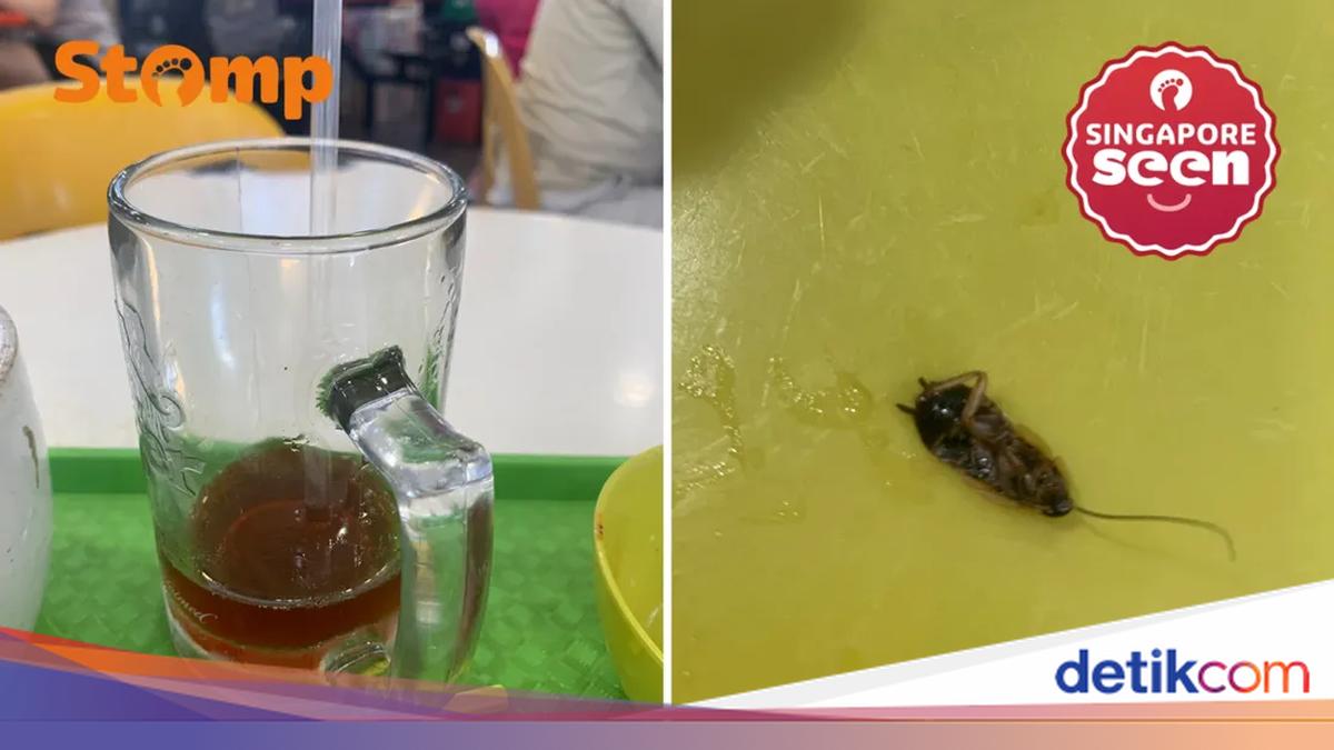 Api Atiqa Hiii! Wanita Ini Hampir Telan Kecoak Saat Minum Teh
