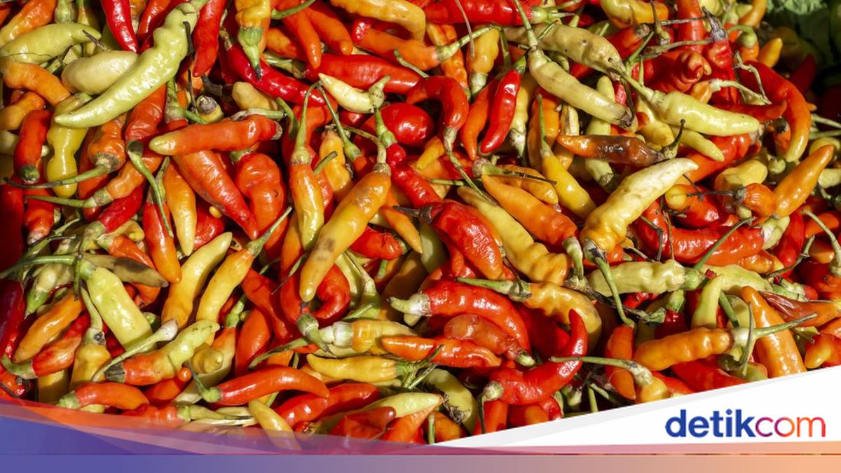 Red Chili Prices Reach Rp 102,950 per Kilogram in Indonesia