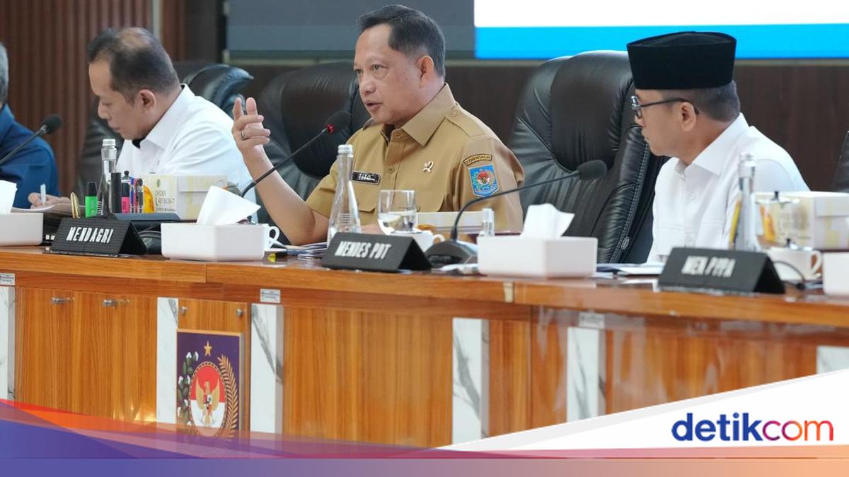 Mendagri Imbau Kepala Daerah Dukung Proses Verifikasi & Validasi Kopdeskel
