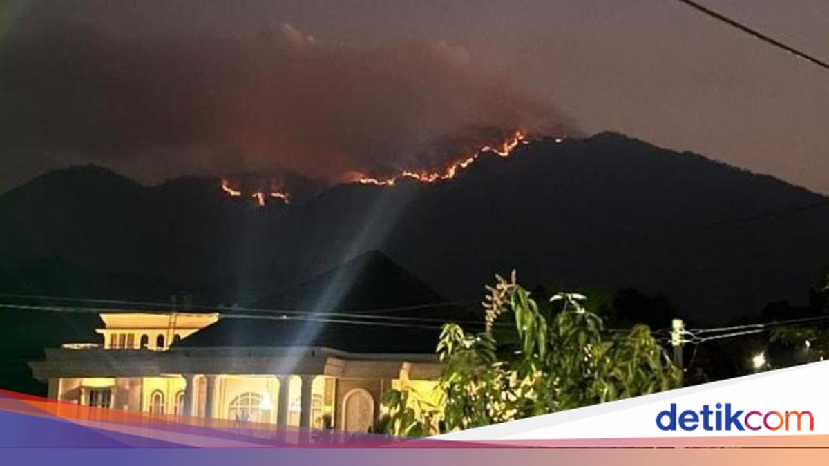 Puncak Gunung Wilis Jatim Kebakaran